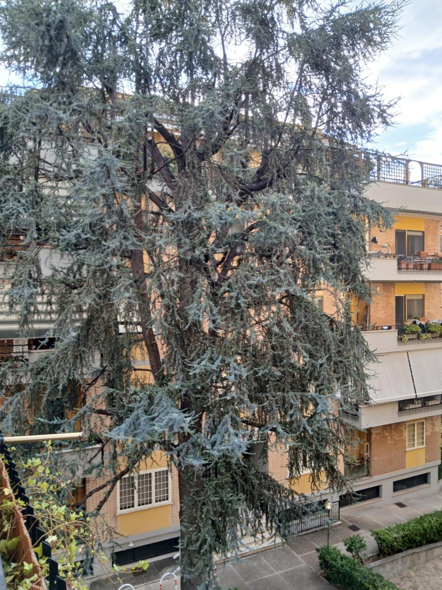 شقة La Casa Di Antonella E Giuseppe روما المظهر الخارجي الصورة
